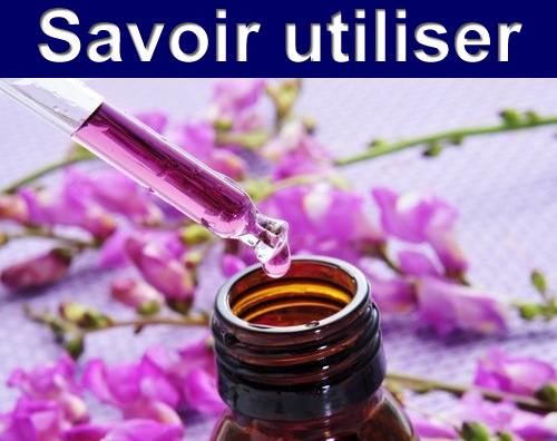 Fleurs de Bach Niveau 1 Fleurs de Bach Niveau 1